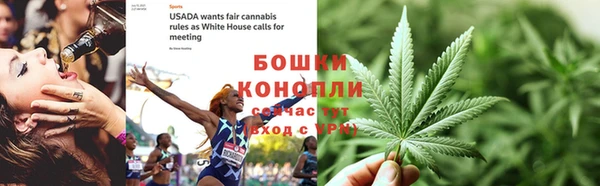 не бодяженный Гусиноозёрск