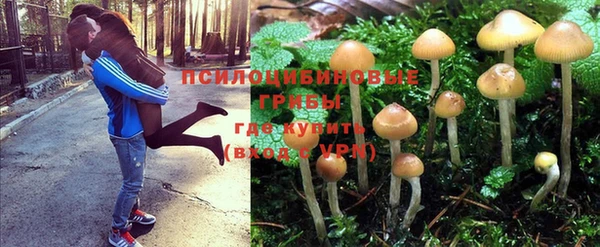 ALPHA-PVP Гусев