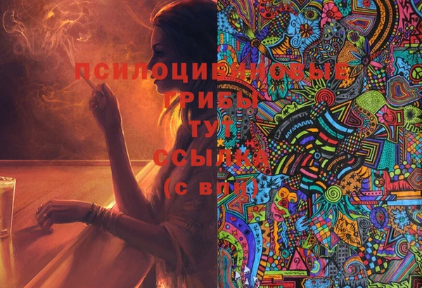 не бодяженный Гусиноозёрск