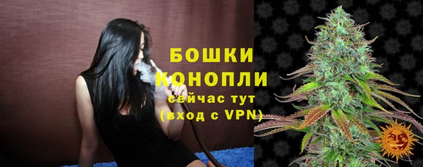 ALPHA-PVP Гусев