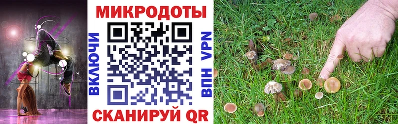 Купить где  Сунжа  Галлюциногенные грибы ЛСД 